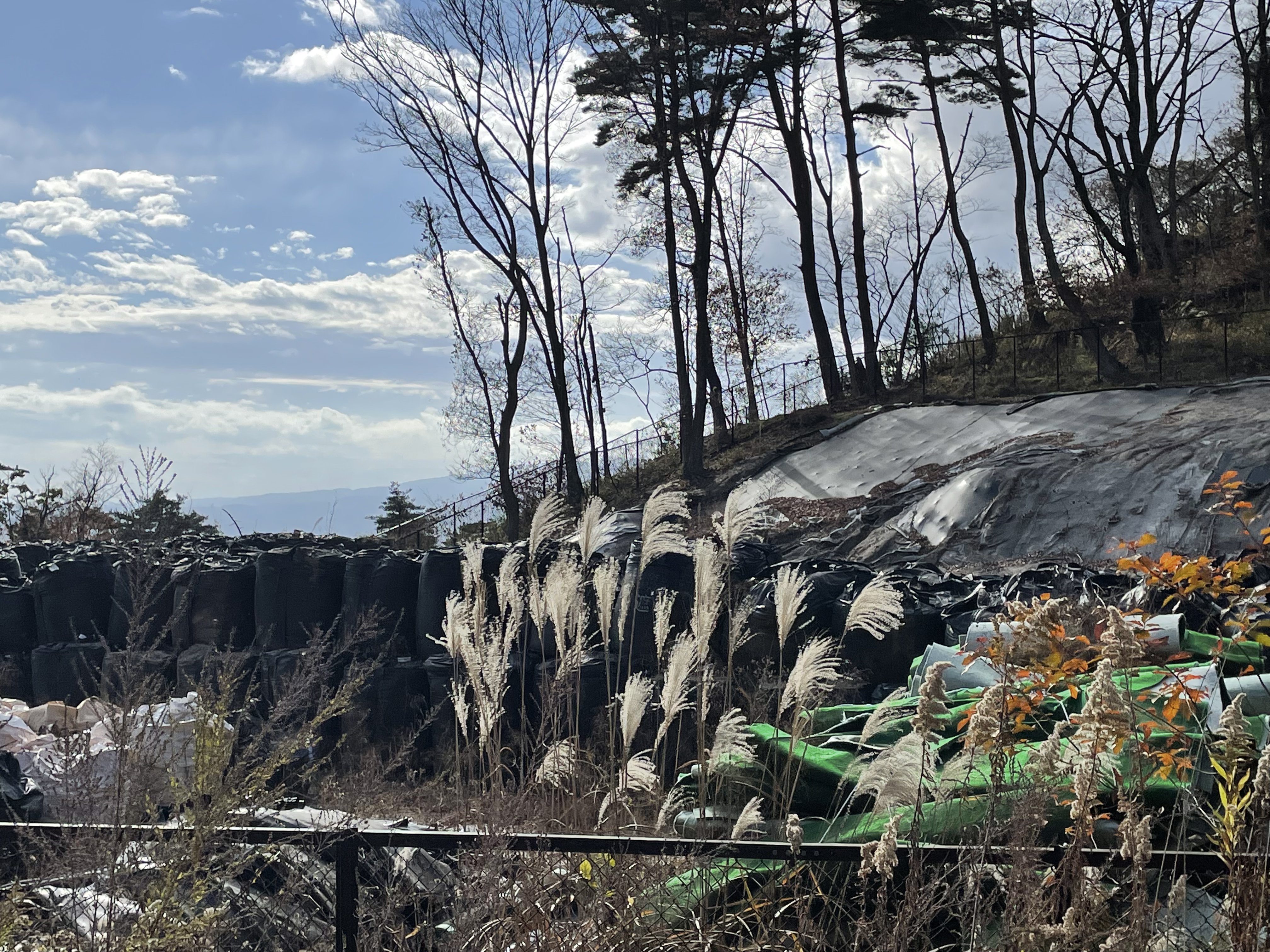 Fukushima fieldwork photo 1