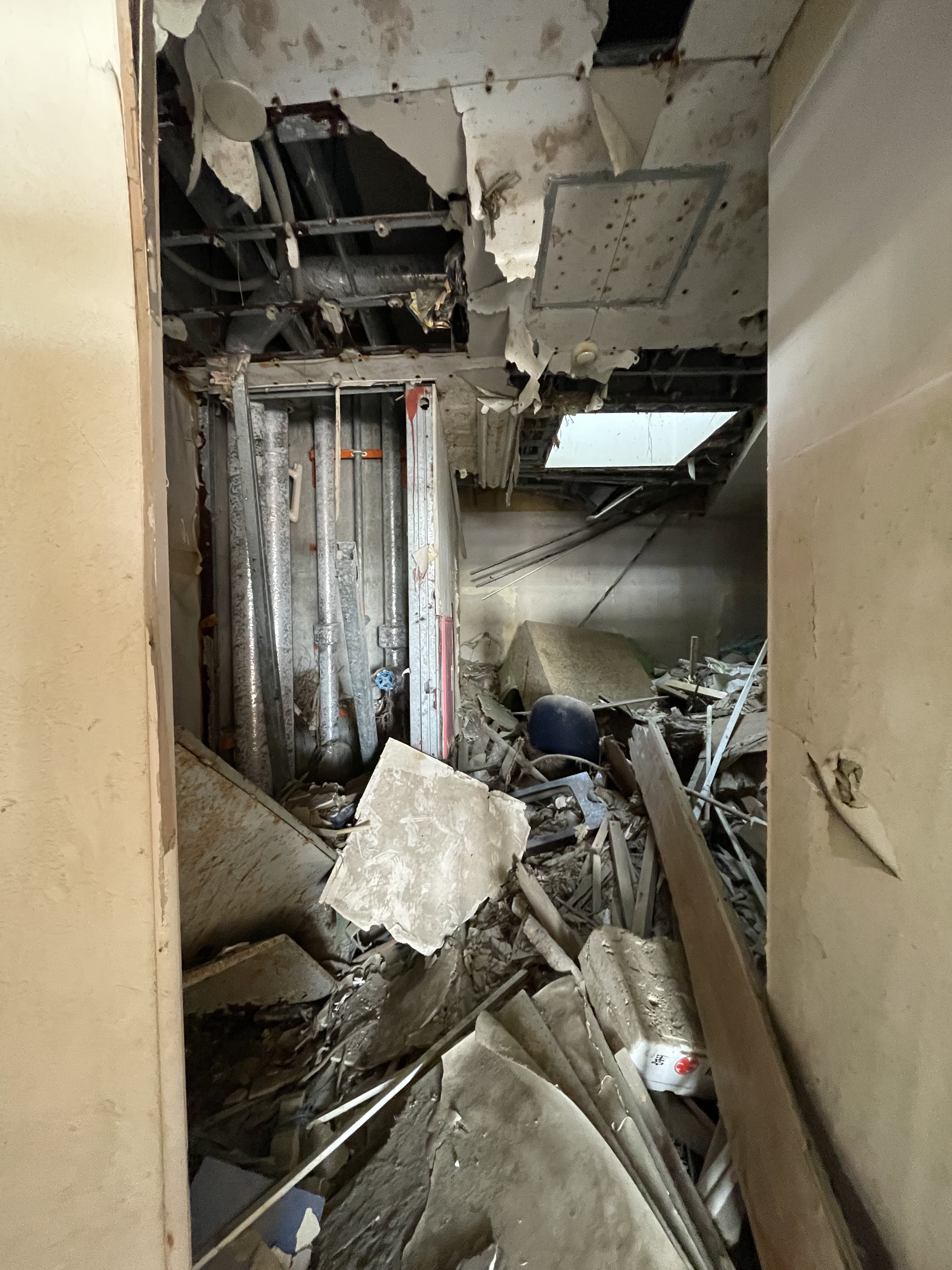 Fukushima fieldwork photo 4