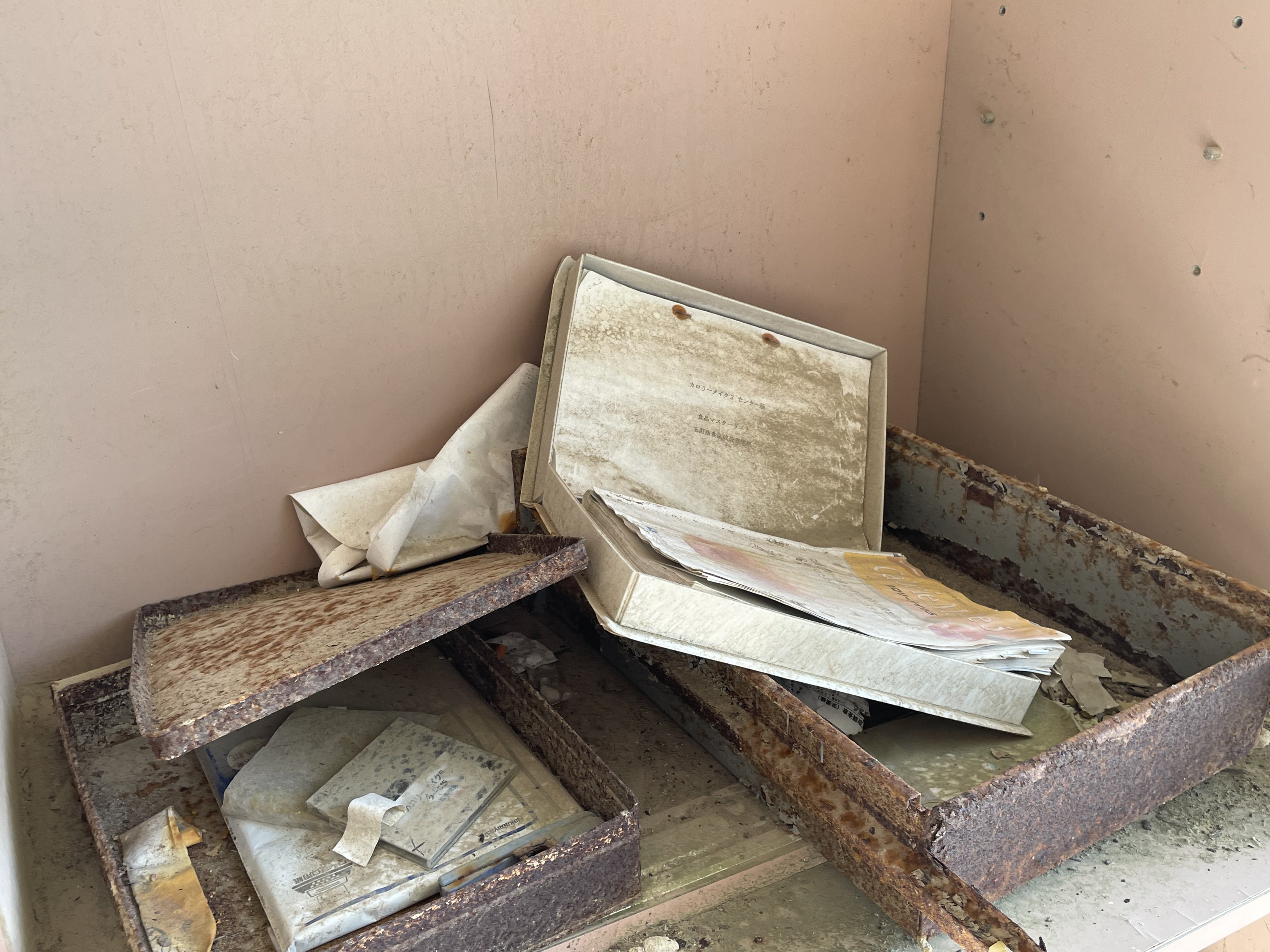 Fukushima fieldwork photo 6